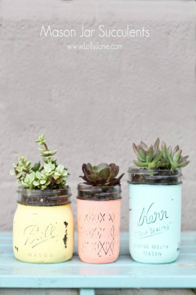 DIY-Mason-Jar-Succulents-LollyJane1.jpg1-600x758